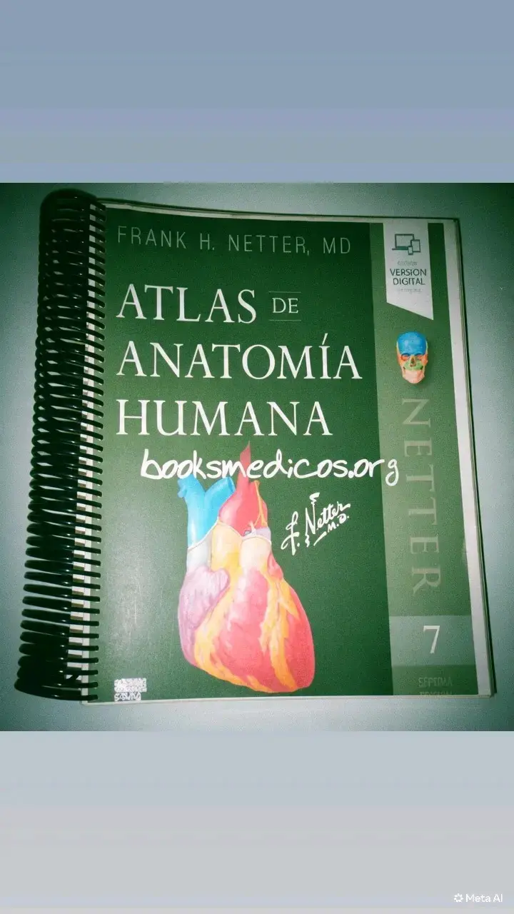 Atlas de Anatomía Humana de Frank H. Netter