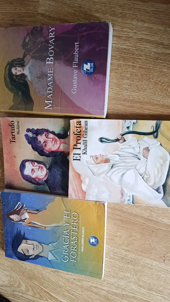 Lote de Libros Clásicos de Literatura - 1