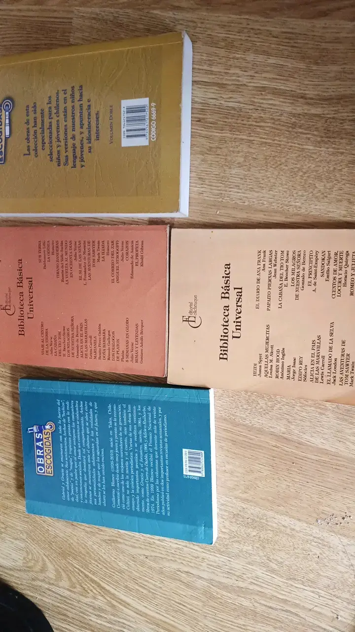 Lote de Libros Clásicos de Literatura - 2