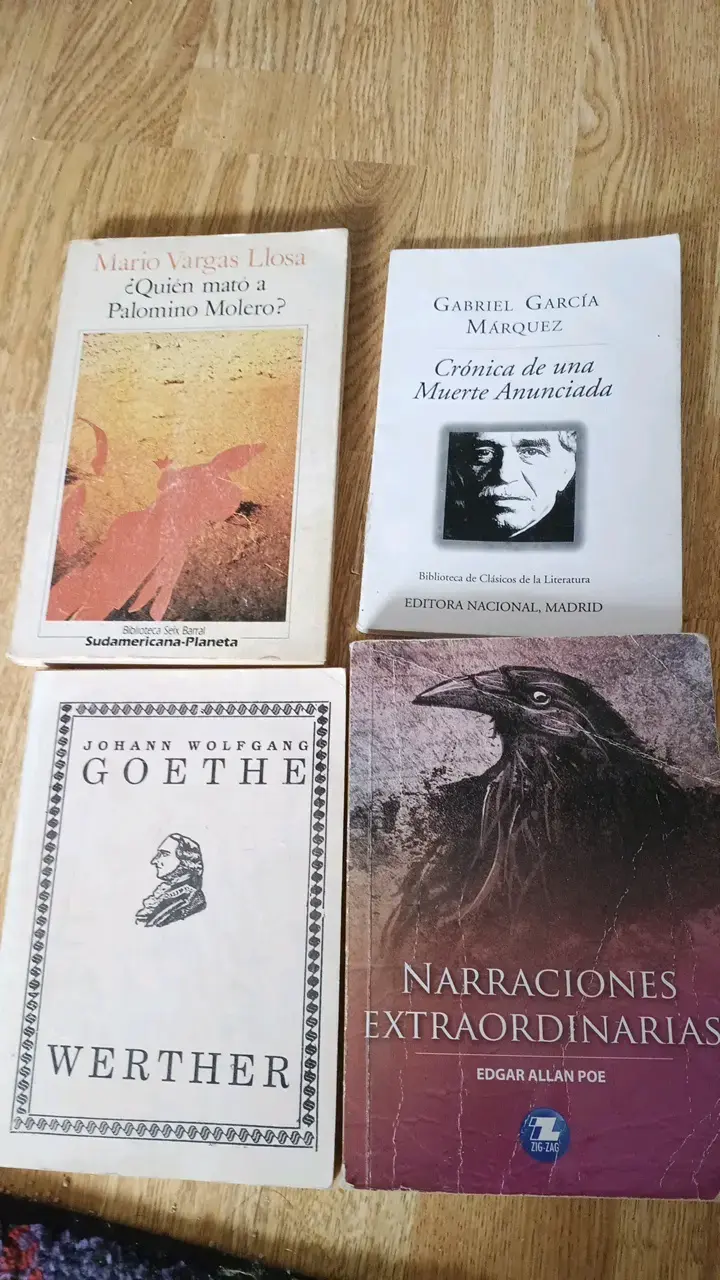 Lote de libros clásicos de literatura - 1