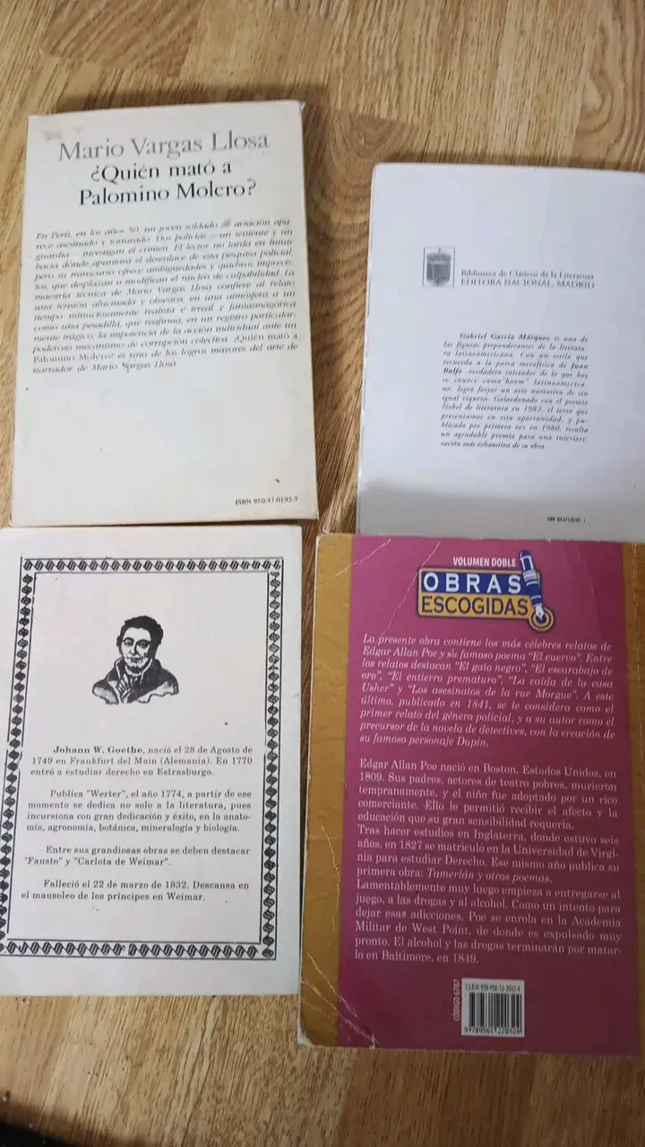 Lote de libros clásicos de literatura - 2
