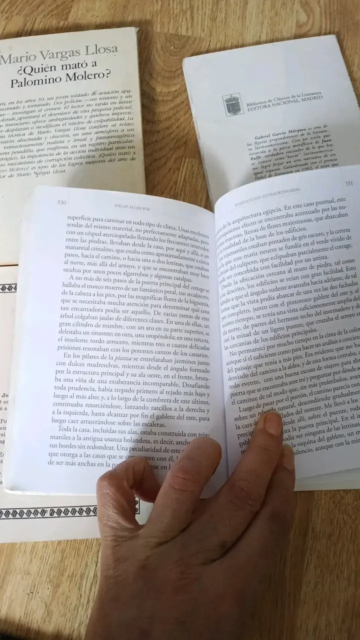 Lote de libros clásicos de literatura - 3