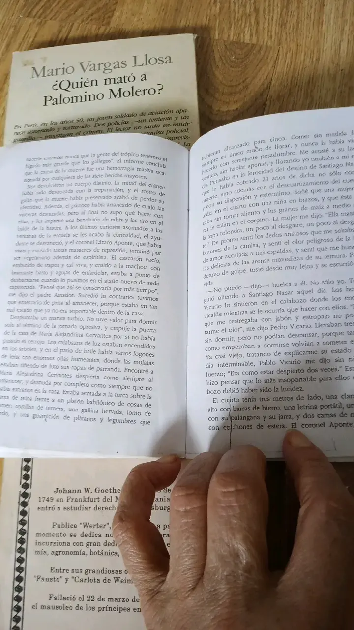 Lote de libros clásicos de literatura - 4