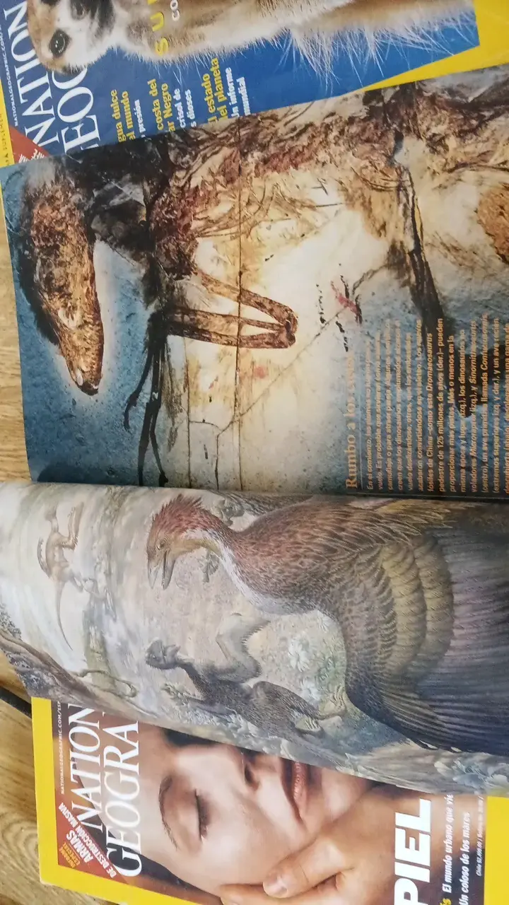 Colección de revistas National Geographic en español - 2