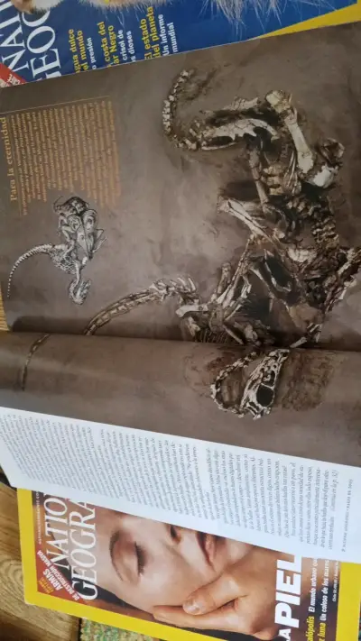 Colección de revistas National Geographic en español - miniatura 3