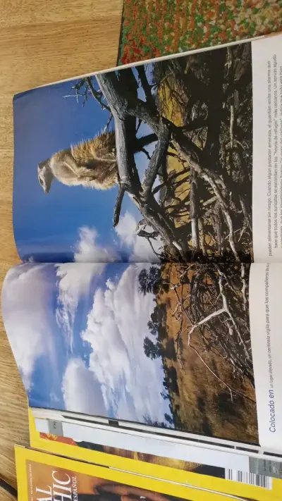 Colección de revistas National Geographic en español - miniatura 4