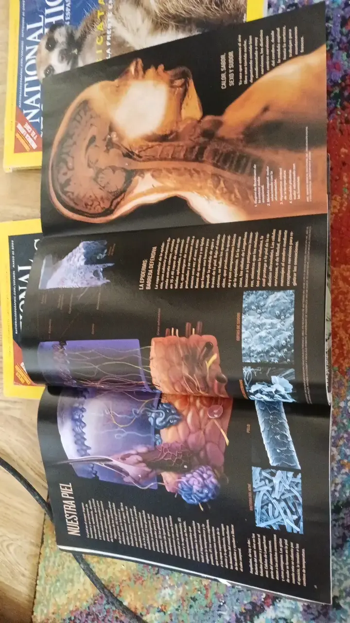 Colección de revistas National Geographic en español - 6