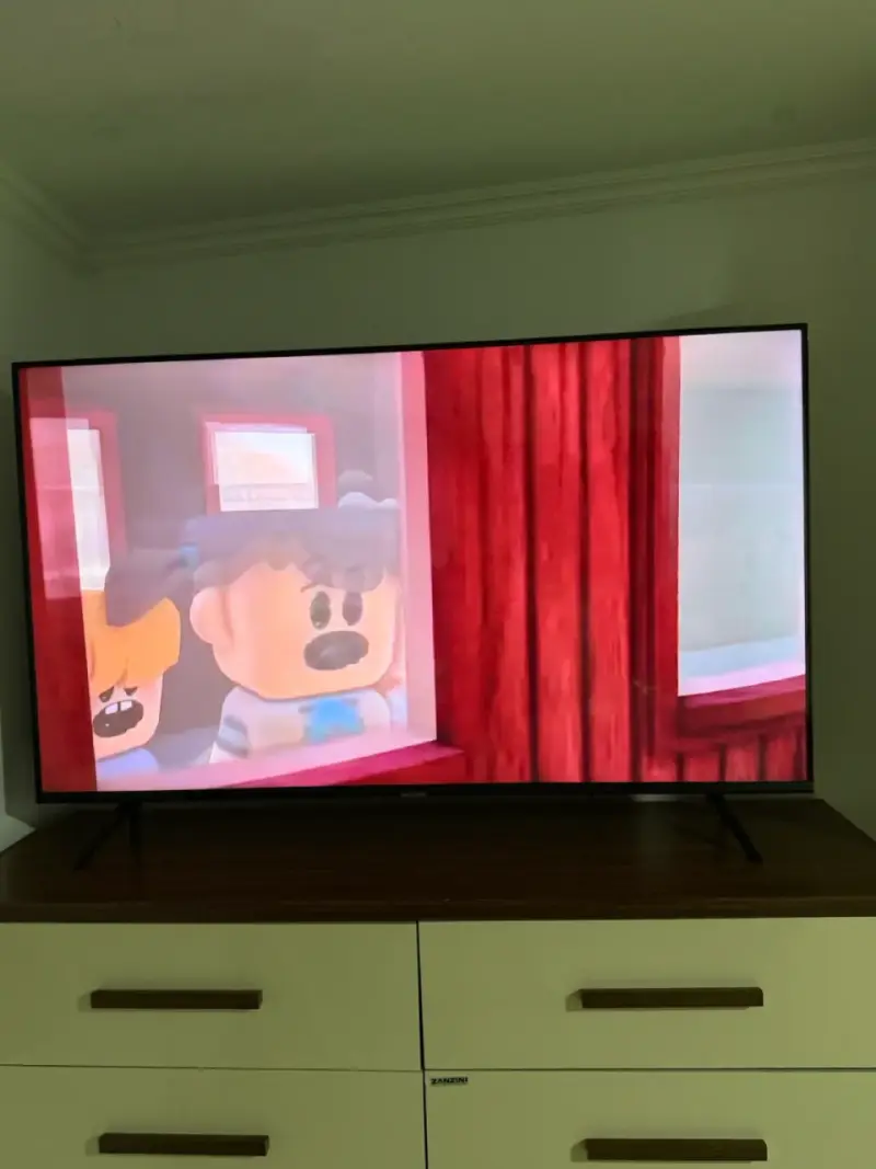 Televisor LED de 55 pulgadas en buen estado - 4