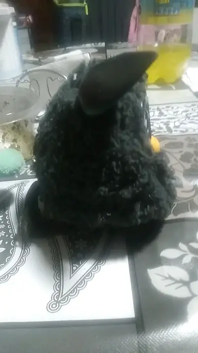 Peluche interactivo negro con orejas grandes - miniatura 2