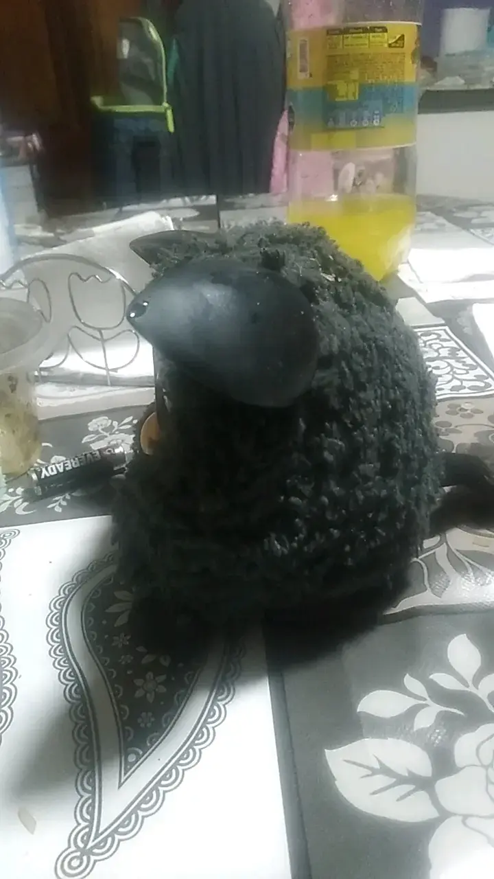 Peluche interactivo negro con orejas grandes - 4