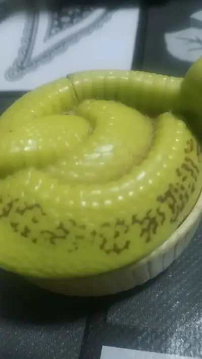Figura decorativa de serpiente verde - miniatura 3