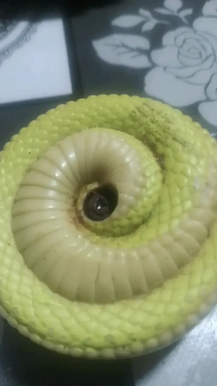 Figura decorativa de serpiente verde - 4