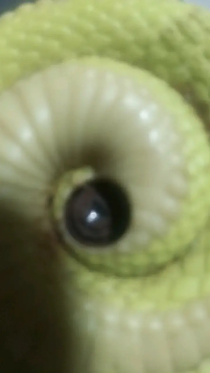 Figura decorativa de serpiente verde - 5