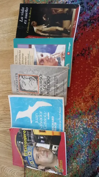 Lote de libros clásicos en español - miniatura 1