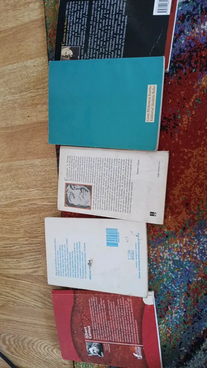 Lote de libros clásicos en español - 2