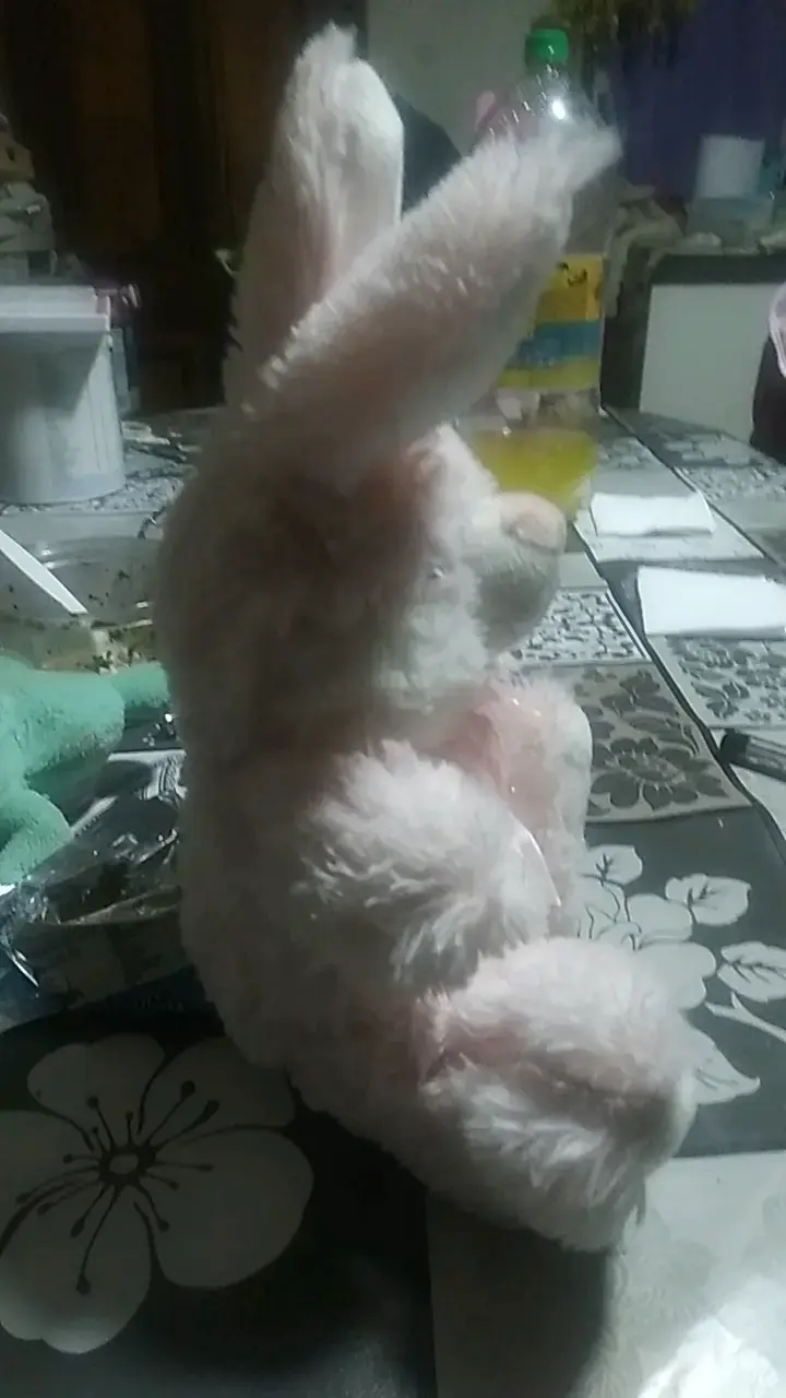 Peluche Conejo Rosado Suave - 2