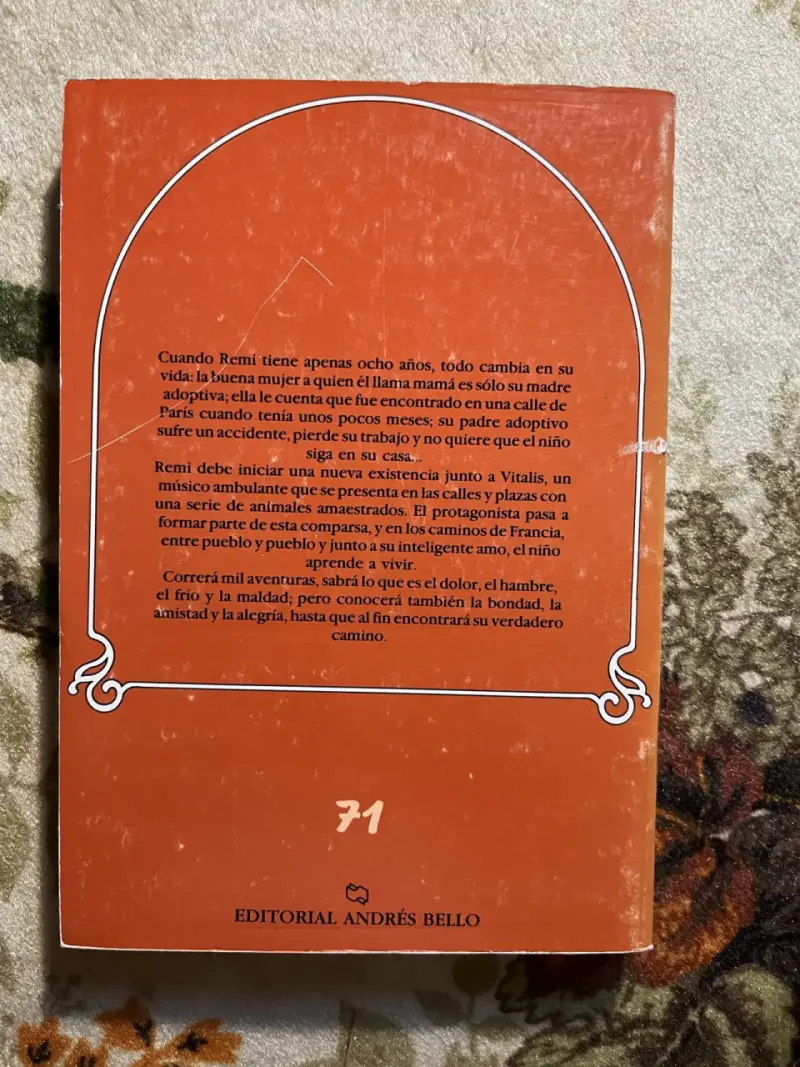 Libro 'Sin Familia' de Héctor Malot - 3