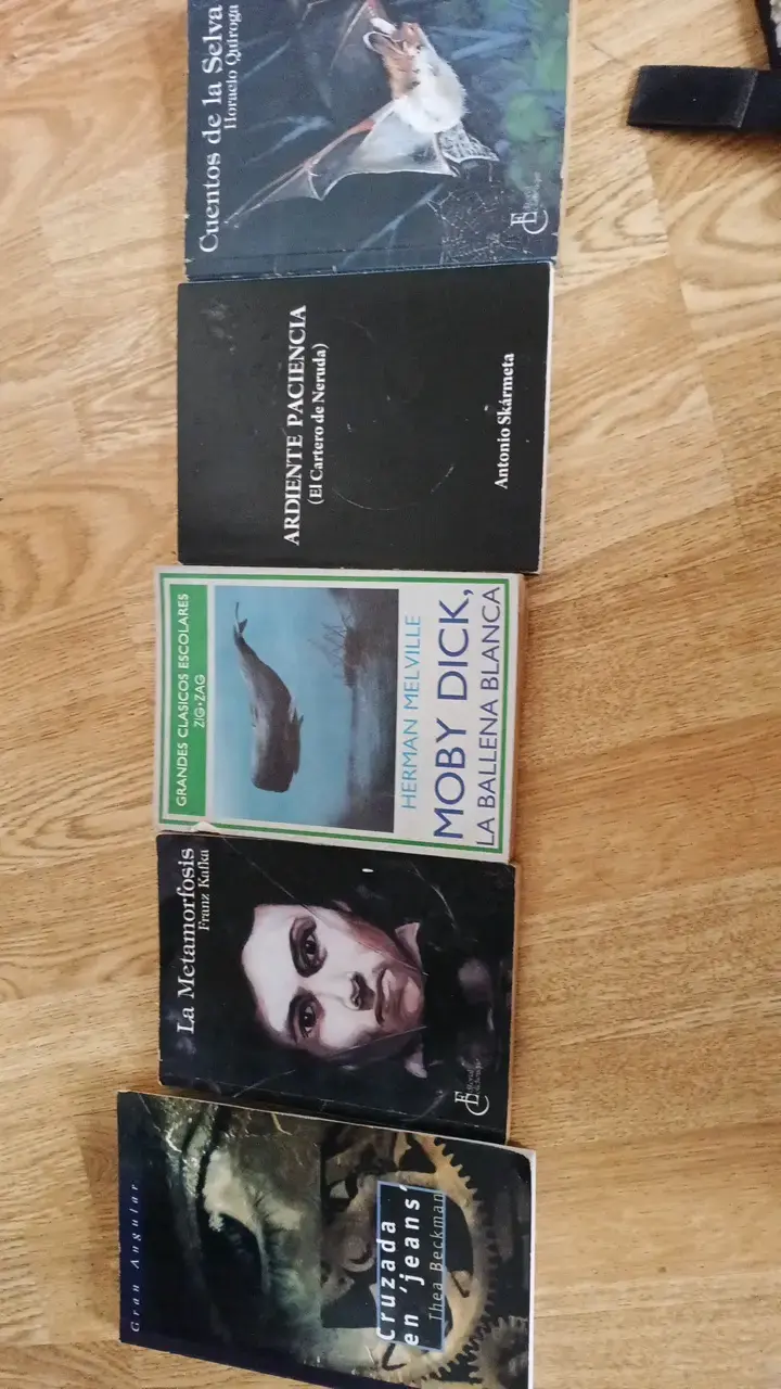 Lote de libros clásicos en español - 1