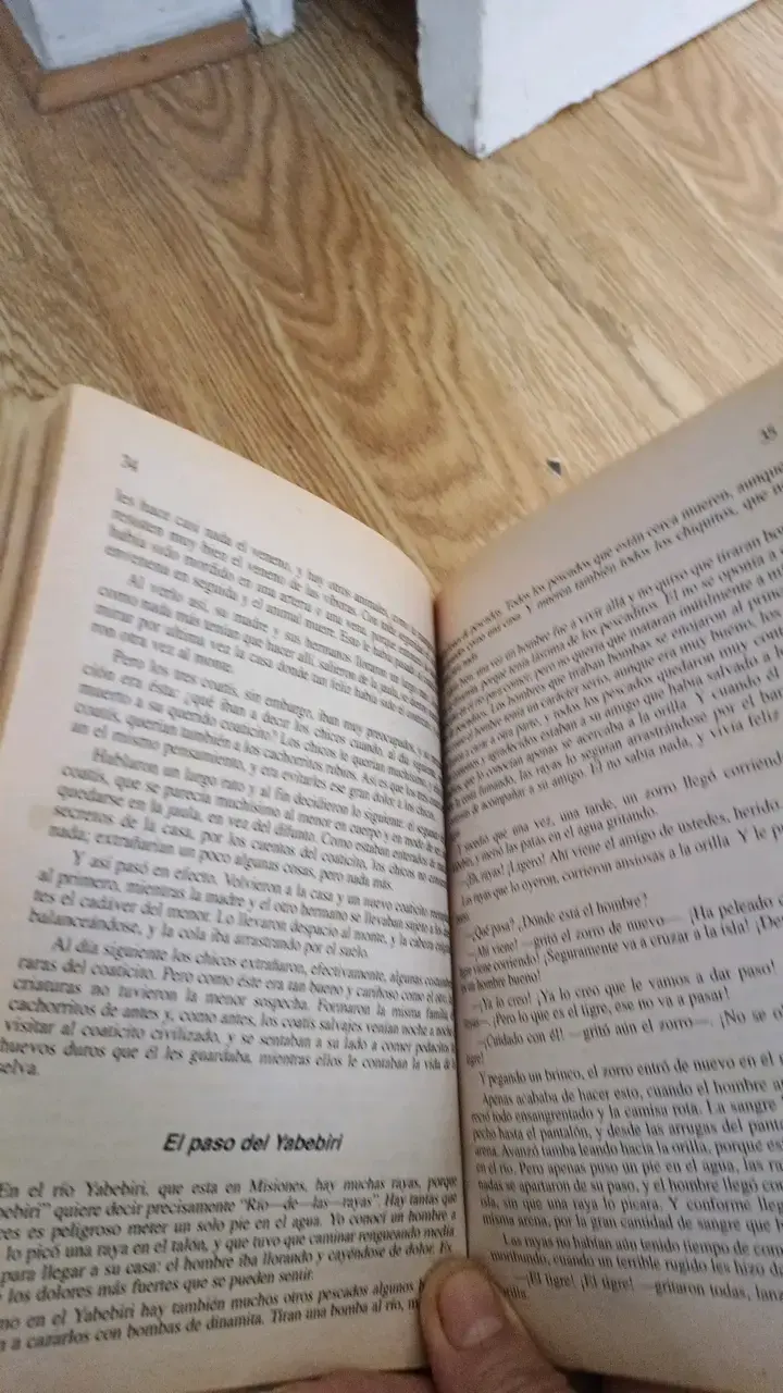 Lote de libros clásicos en español - 6