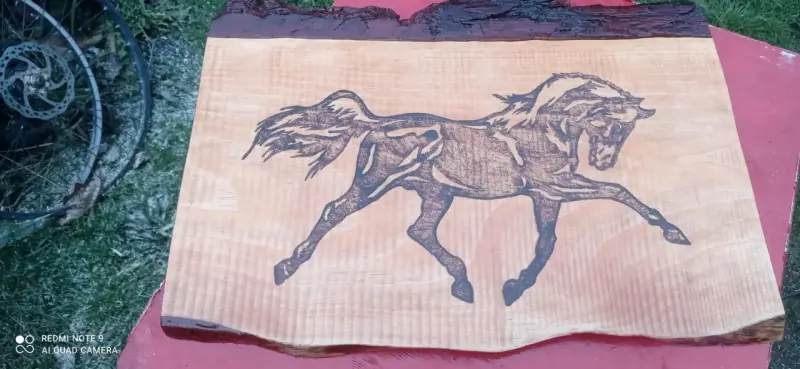 Cuadro de madera con grabado de caballo
