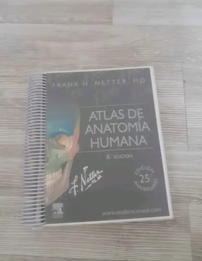 Atlas de Anatomía Humana 6ª Edición Frank H. Netter - miniatura 1