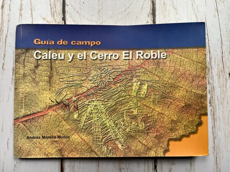 Guía de campo Caleu y el Cerro El Roble - 1
