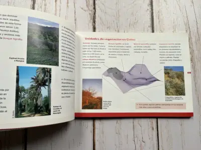 Guía de campo Caleu y el Cerro El Roble - miniatura 4