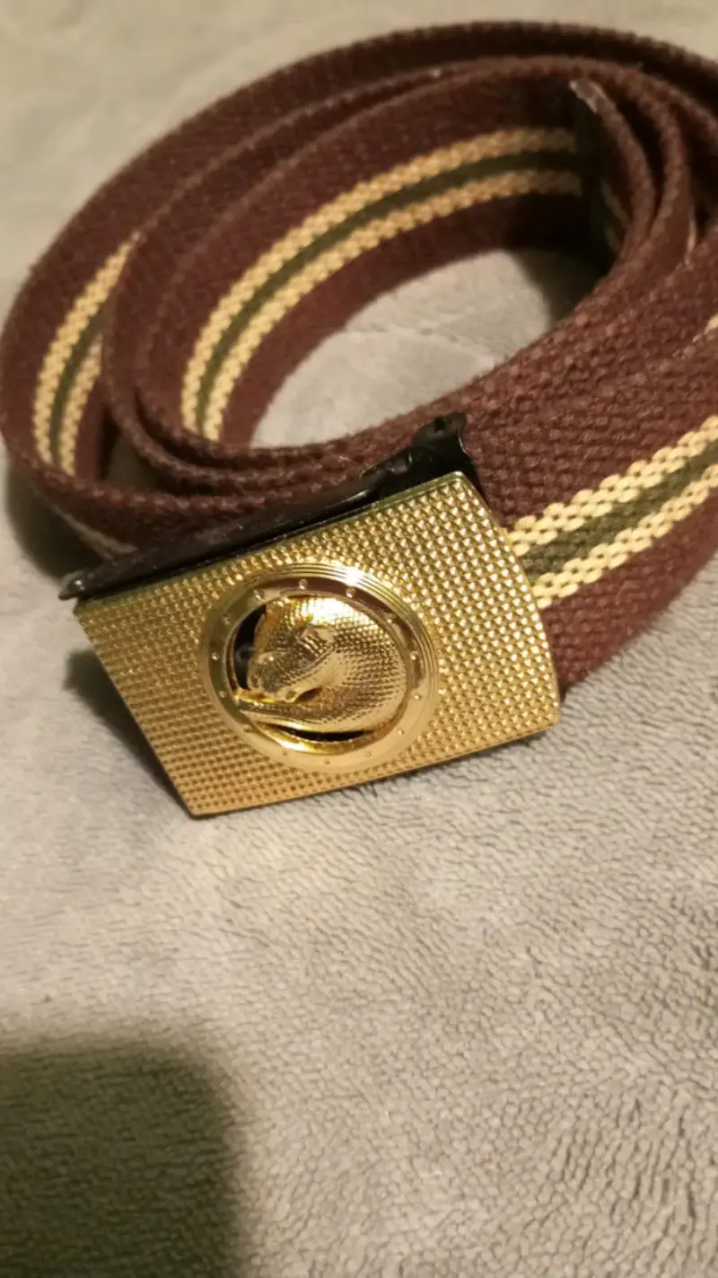 Cinturón de tela marrón con hebilla dorada