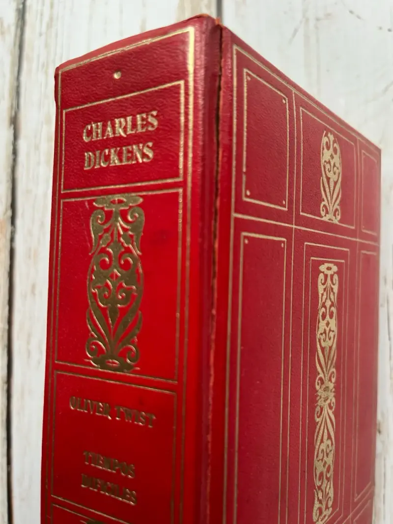 Oliver Twist - Tiempos Difíciles / Charles Dickens - 2