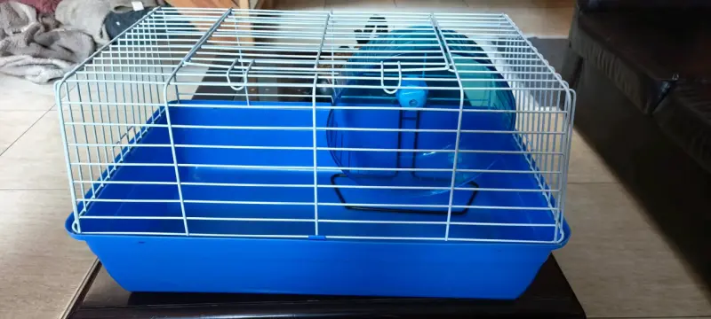 Jaula para hámster con rueda azul - 2