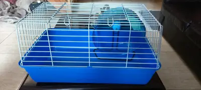 Jaula para hámster con rueda azul - miniatura 2