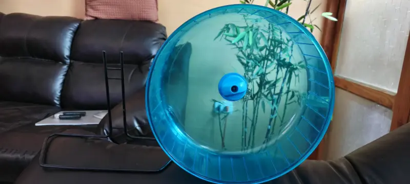 Jaula para hámster con rueda azul - 3