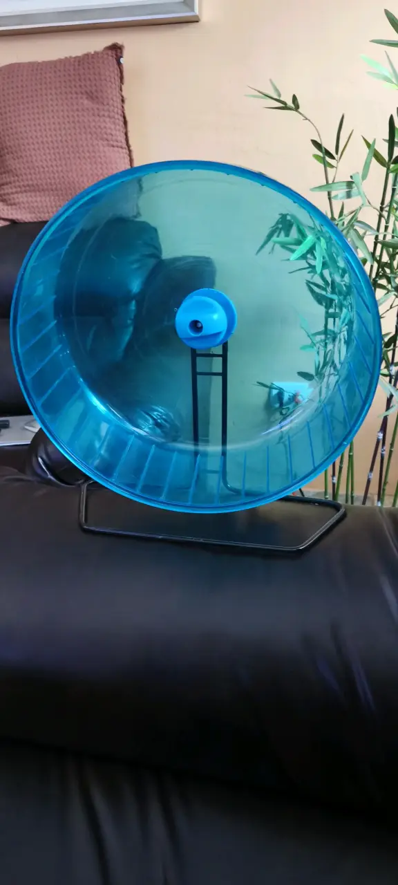 Jaula para hámster con rueda azul - 4