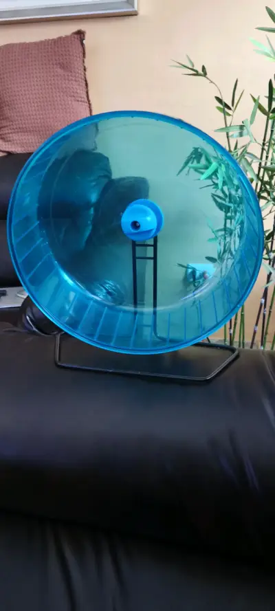 Jaula para hámster con rueda azul - miniatura 4