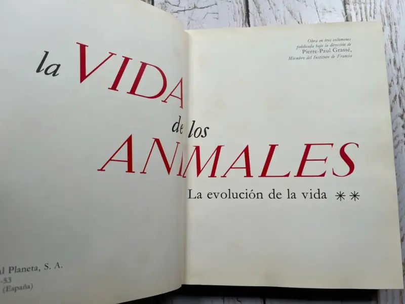 La Vida De Los Animales - La Evolución De La vida - 3