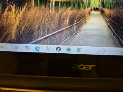 Notebook Acer Aspire R11 con pantalla táctil - miniatura 4