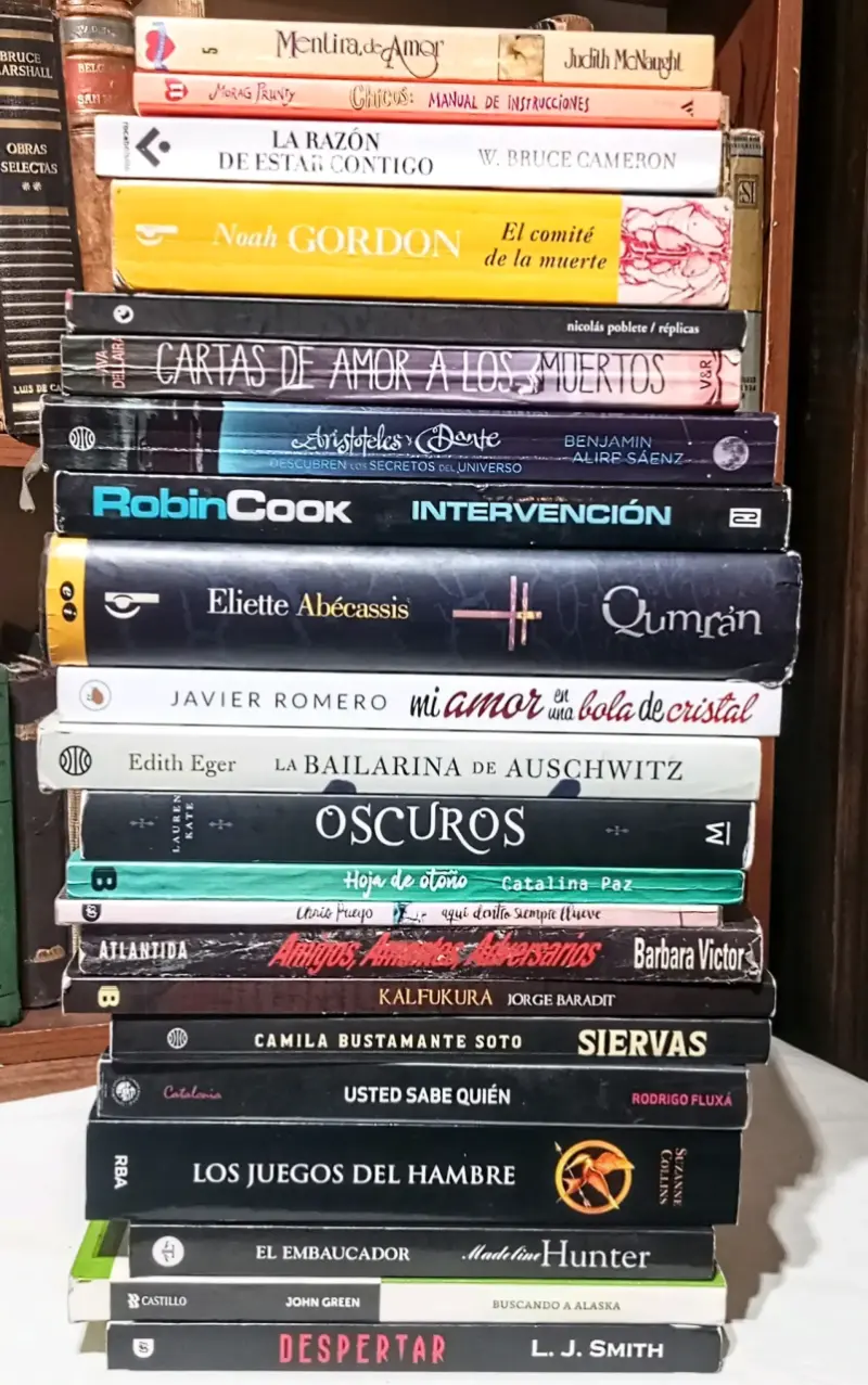 Lote de libros variados en buen estado - 1