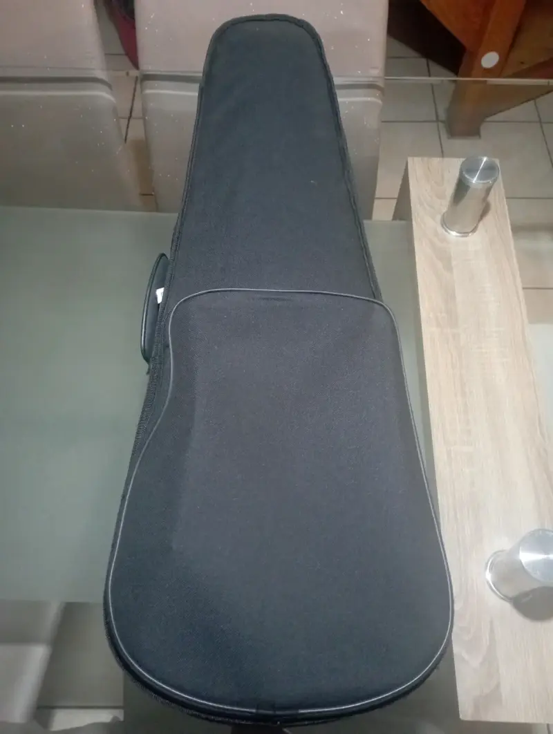 Violín 4/4 con estuche rígido y arco - 1