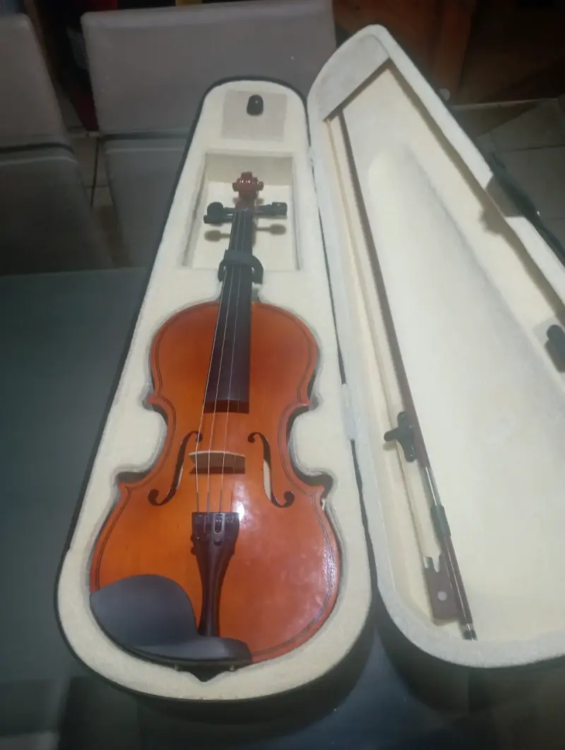 Violín 4/4 con estuche rígido y arco - 2