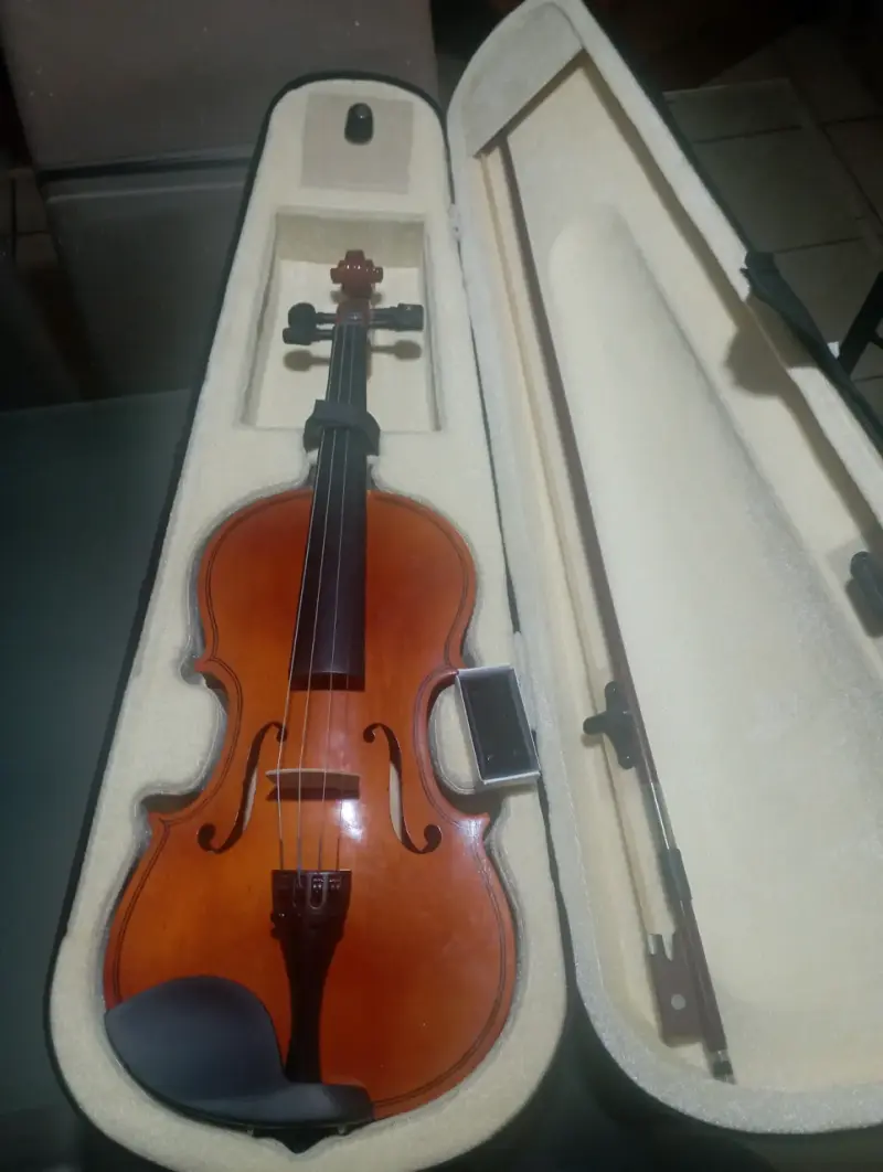 Violín 4/4 con estuche rígido y arco - 3