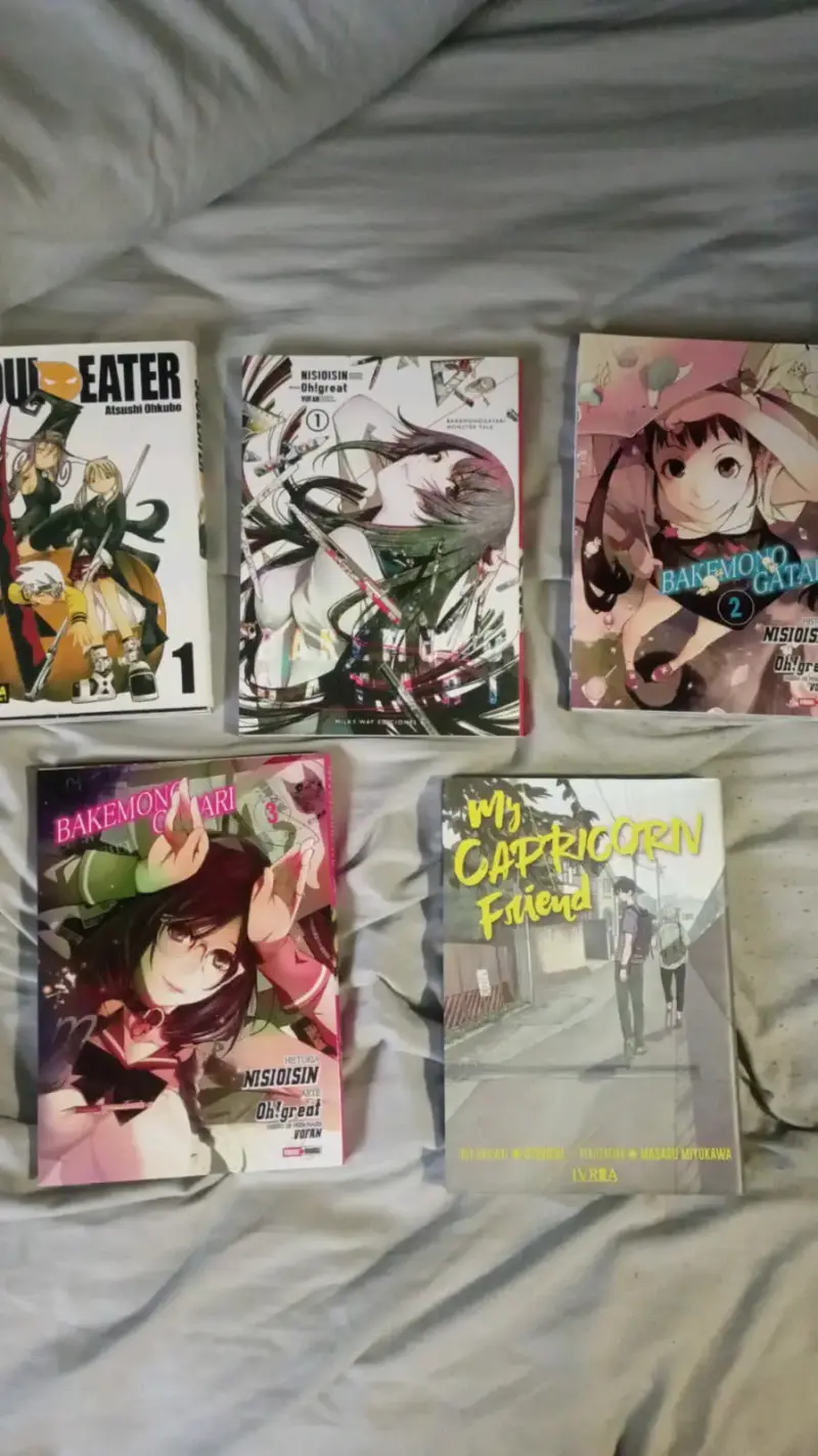 Colección de mangas variados en buen estado