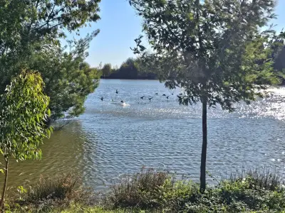 Venta de Parcelas en Chillán - miniatura 5