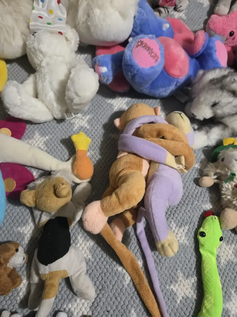 Lote de peluches variados para niños - 3