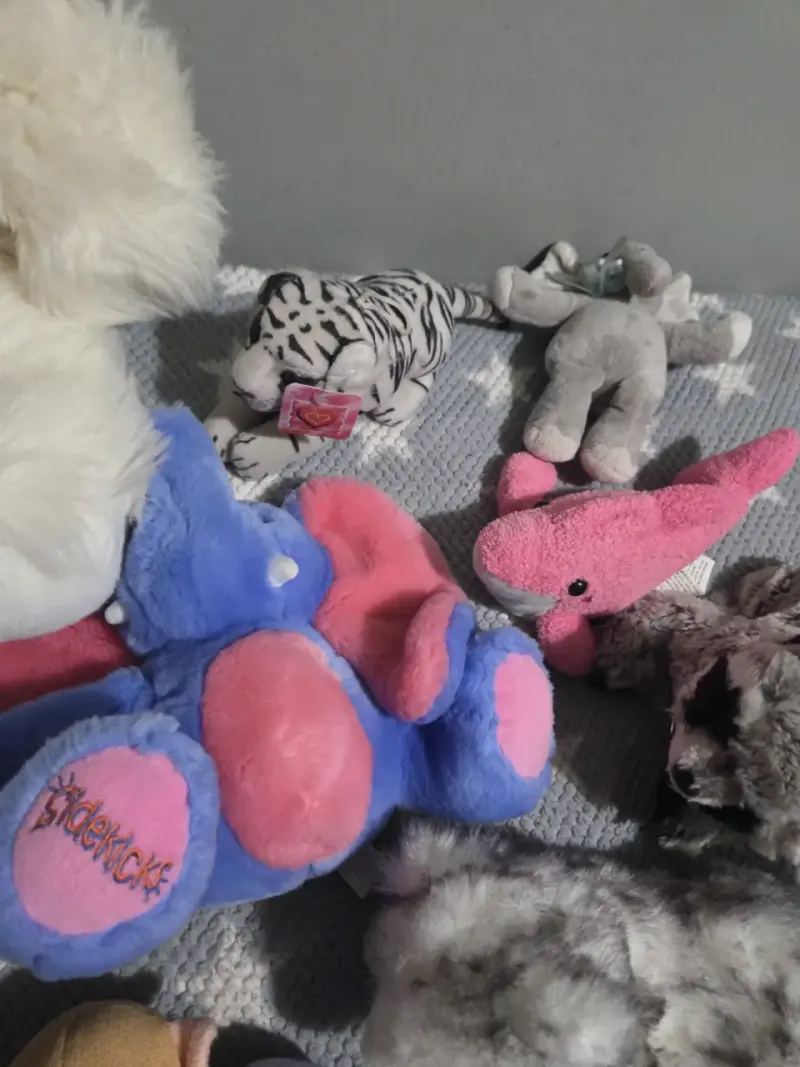 Lote de peluches variados para niños - 5