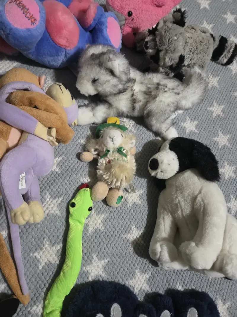 Lote de peluches variados para niños - 6