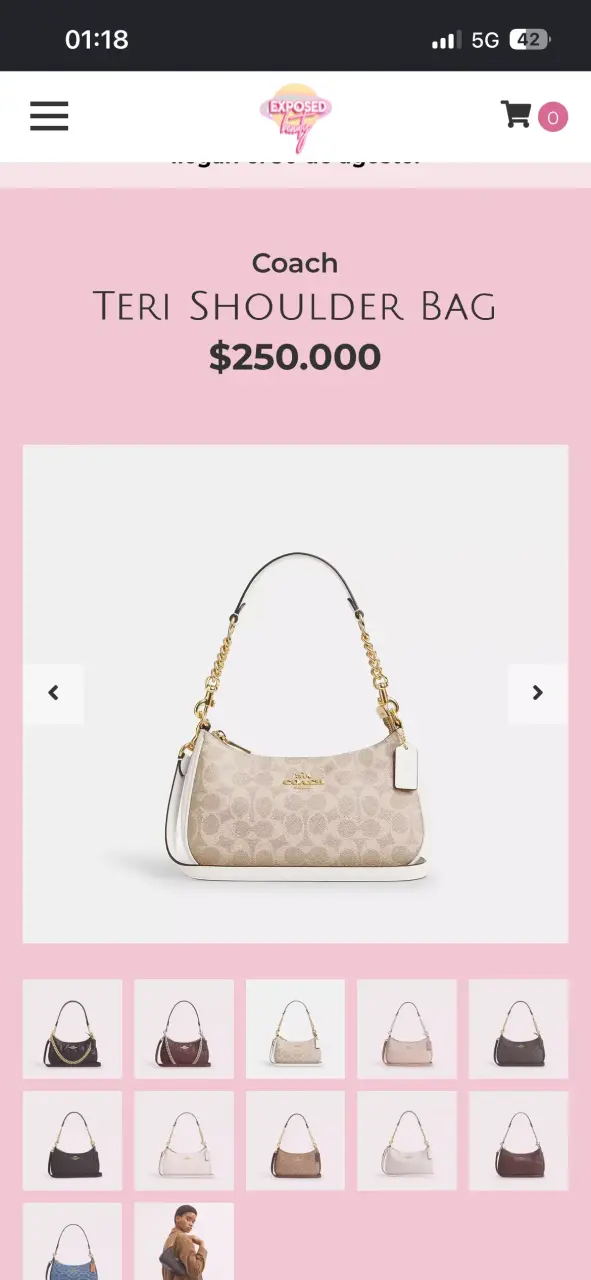 Bolso de hombro Coach Teri elegante