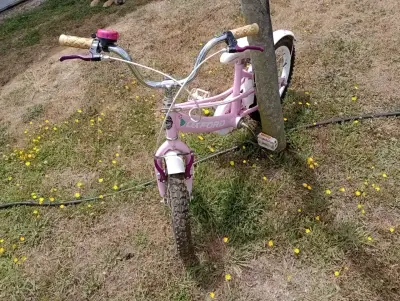 Bicicleta infantil Oxford rosa con timbre - miniatura 1