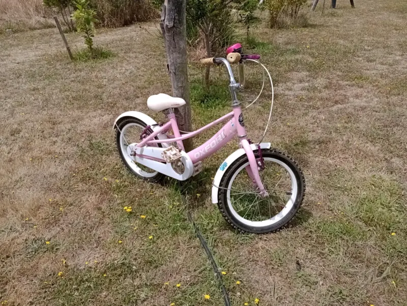 Bicicleta infantil Oxford rosa con timbre - 2
