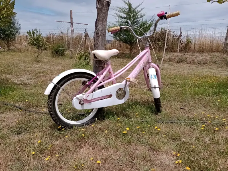 Bicicleta infantil Oxford rosa con timbre - 3