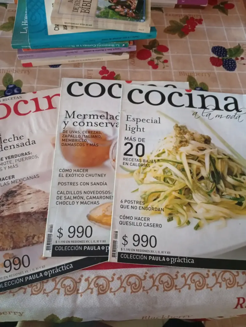 Colección de Revistas de Cocina Paula Práctica